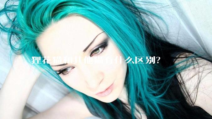 狸花猫和其他猫有什么区别？