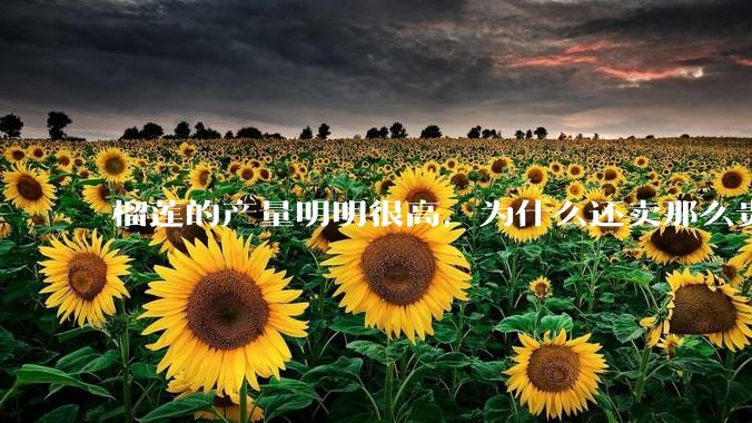 榴莲的产量明明很高，为什么还卖那么贵？