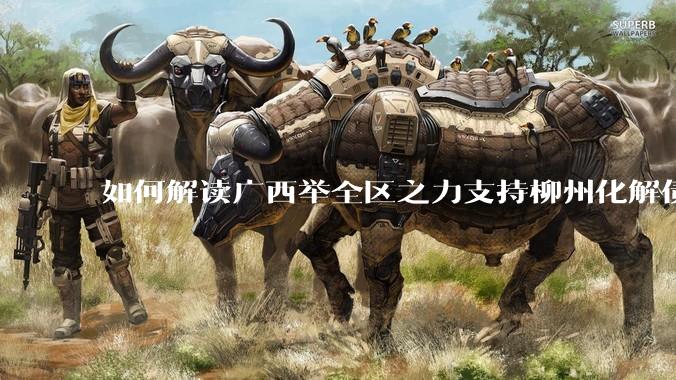 如何解读广西举全区之力支持柳州化解债务？