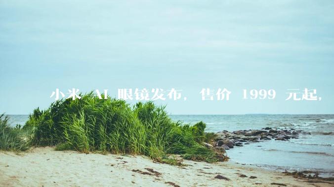 小米 AI 眼镜发布，售价 1999 元起，有哪些功能亮点？你看好其市场前景吗？