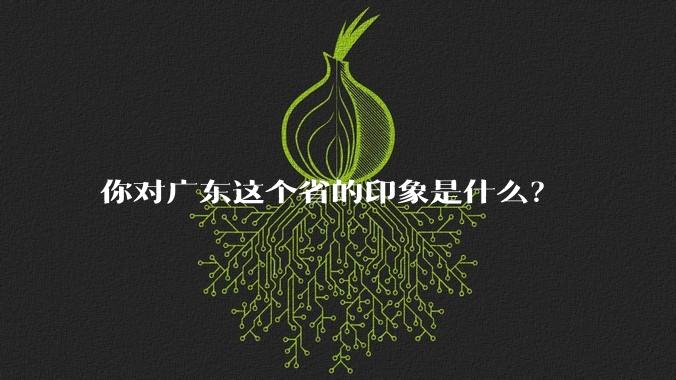 你对广东这个省的印象是什么？