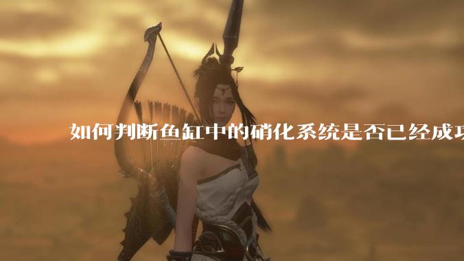 如何判断鱼缸中的硝化系统是否已经成功建立？