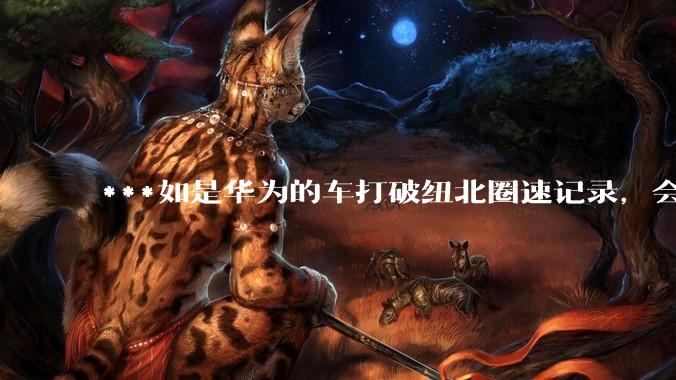 ***如是华为的车打破纽北圈速记录，会是什么景象？